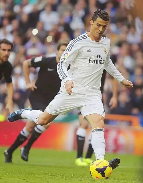 成都蓉城队 成都蓉城队